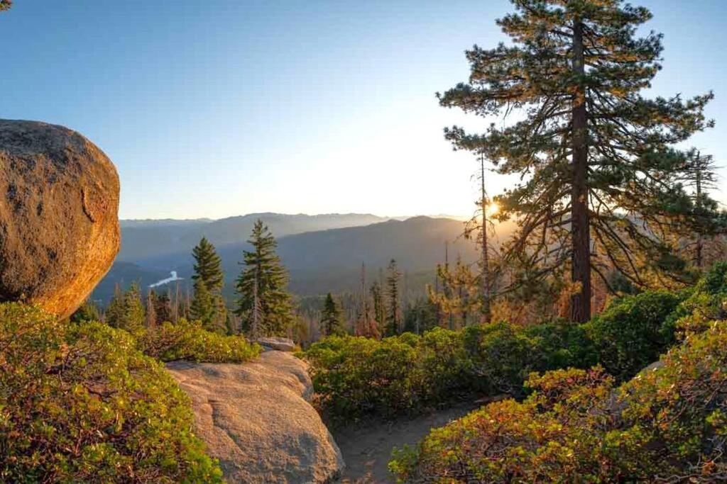Sequoia Splendor, Inside Kings Canyon Np By Visitors Center Wilsonia Εξωτερικό φωτογραφία