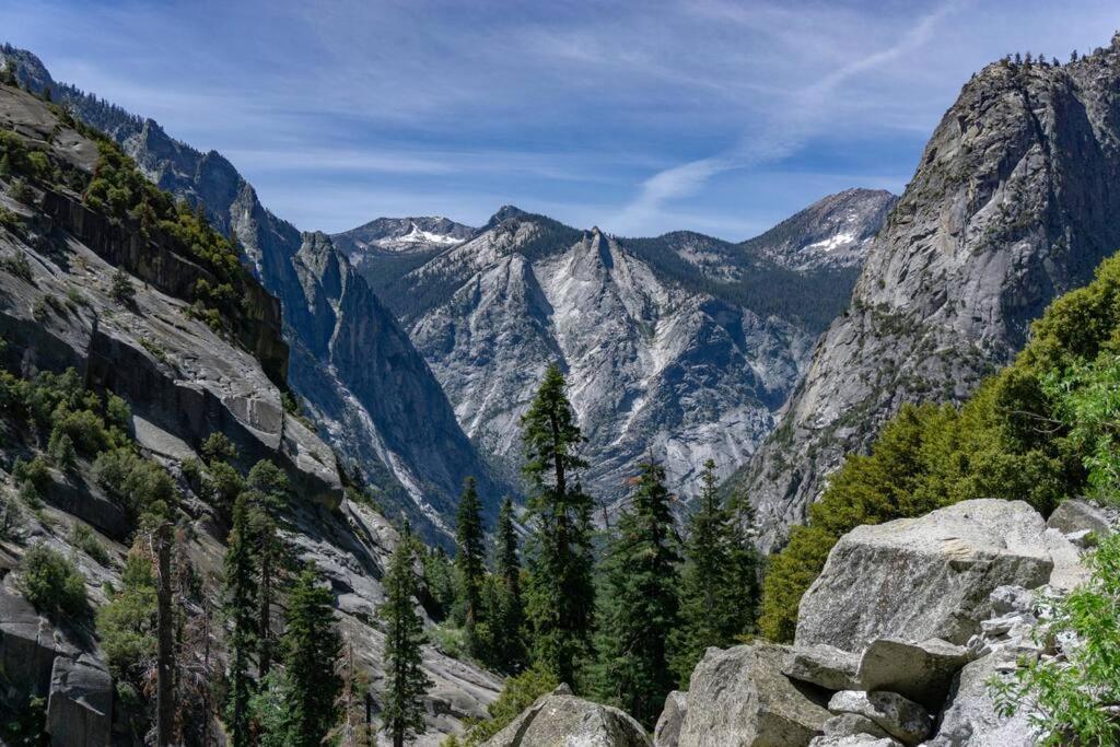 Sequoia Splendor, Inside Kings Canyon Np By Visitors Center Wilsonia Εξωτερικό φωτογραφία