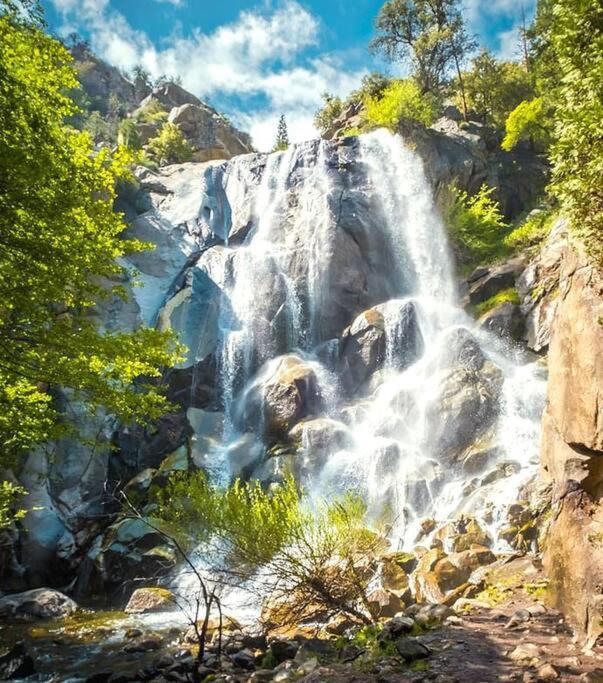 Sequoia Splendor, Inside Kings Canyon Np By Visitors Center Wilsonia Εξωτερικό φωτογραφία