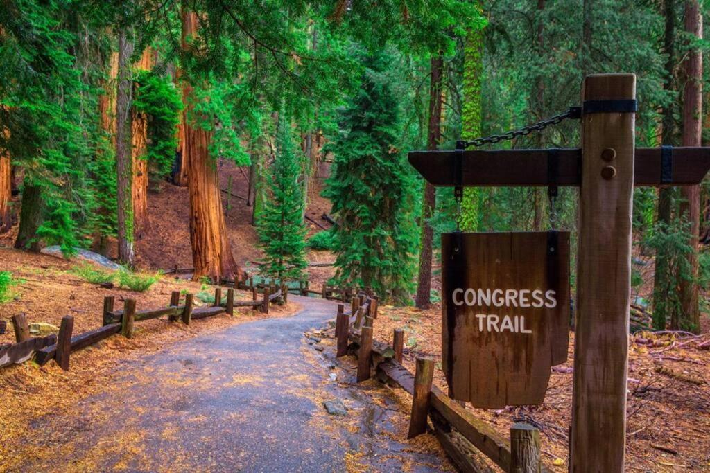 Sequoia Splendor, Inside Kings Canyon Np By Visitors Center Wilsonia Εξωτερικό φωτογραφία