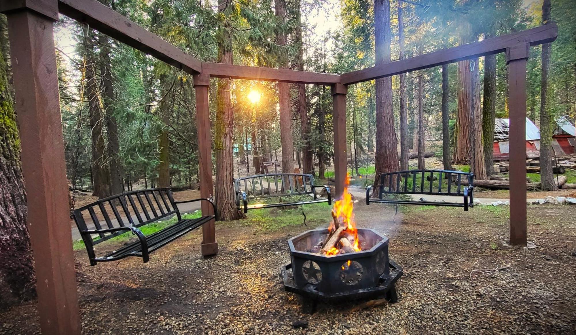 Sequoia Splendor, Inside Kings Canyon Np By Visitors Center Wilsonia Εξωτερικό φωτογραφία
